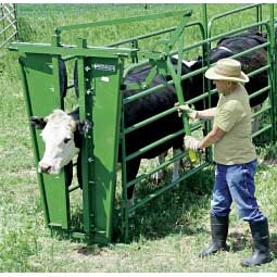 Classic Manual Head Stanchion Item # 20651