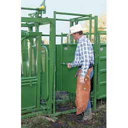 Pregnancy Test Gates Item # 20734