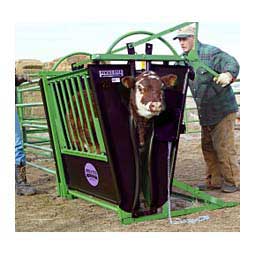 Classic Calf Table Powder River