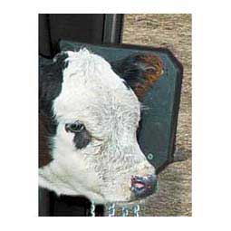 Headboard for Calf Table Item # 20779