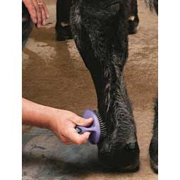 Breakdown Brush for Show Livestock Item # 22214