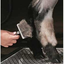 Self Cleaning Slicker Brush Item # 22221
