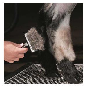 Self Cleaning Slicker Brush Item # 22221