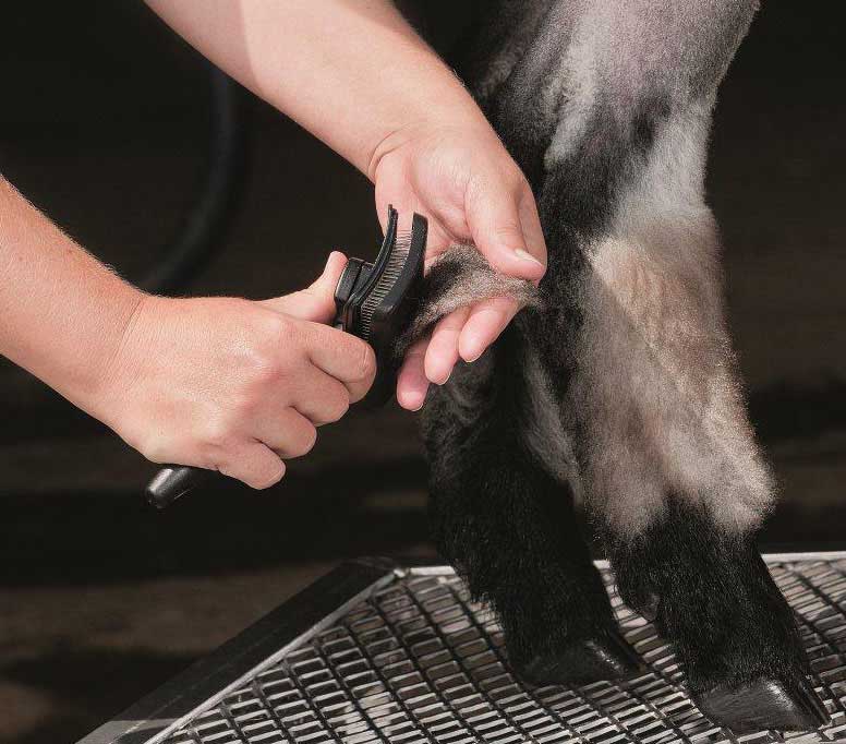 Weaver Leather Self Cleaning Slicker Brush