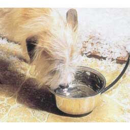 Heated 1 Quart Pet Bowl with Hutch Mount Item # 22369