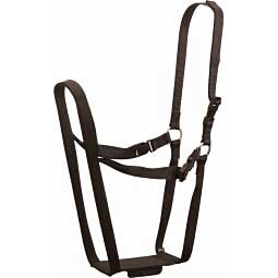 Ewe Marking Harness Item # 23669