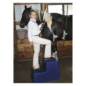 MS-19 Two Step Mounting Block Item # 23759