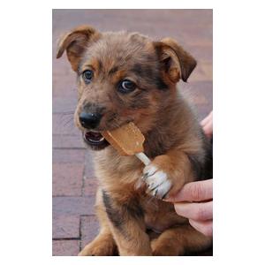 Doggy Pops Peanut Butter Dog Treats Item # 24359