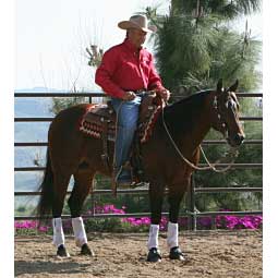 Ballistic Overreach Horse Bell Boots Item # 24641