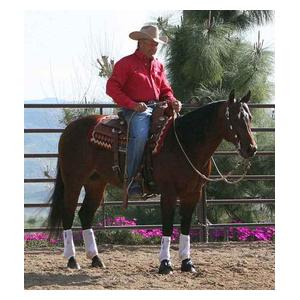 Ballistic Overreach Horse Bell Boots Item # 24641