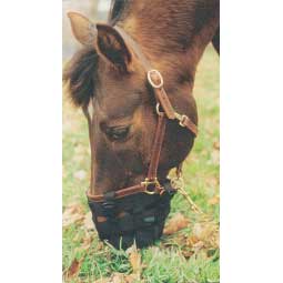 Standard Grazing Muzzle for Horses Item # 25158