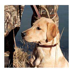 Deer Ridge Leather Dog Collar Item # 25323