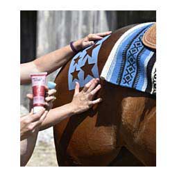 Twinkle Stencil Kit for Horses Item # 25781