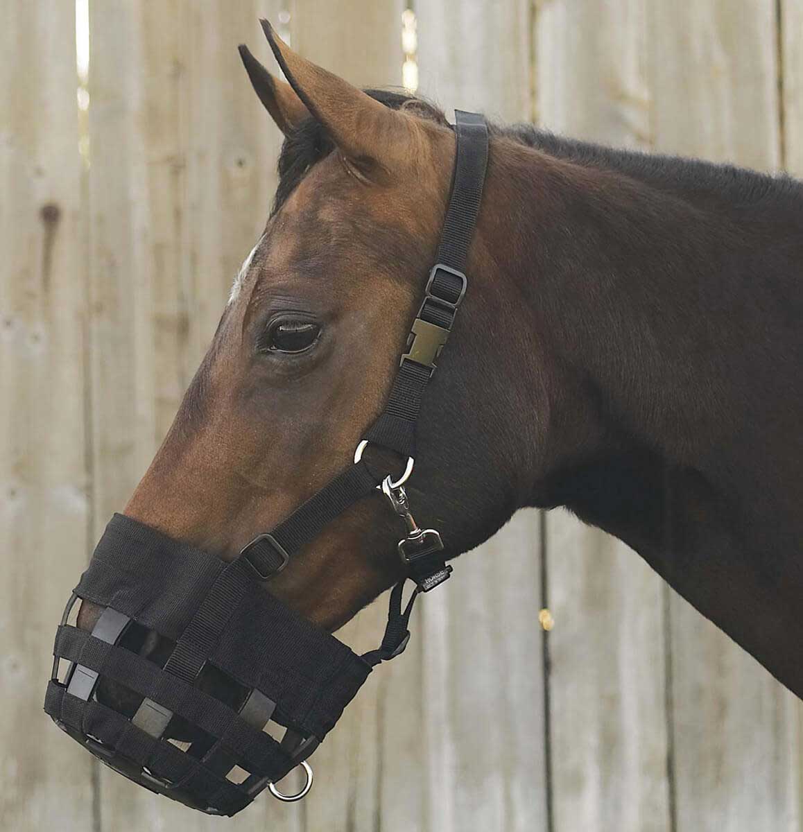 Riding World Plastic Muzzle Nylon Straps Horse Pony Equestrian Stable Yard New 