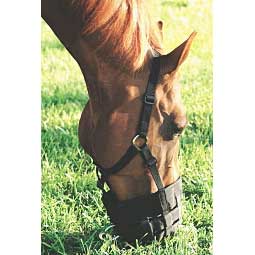 The Deluxe Horse Grazing Muzzle Item # 27043