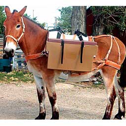 Pannier Box Item # 27911