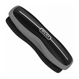 Stiff Brush Item # 28427