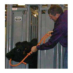 The Hook Doctor Calf Restrainer Item # 28468