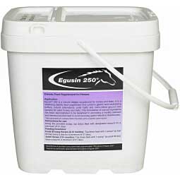 Egusin 250 for Horses Item # 28528