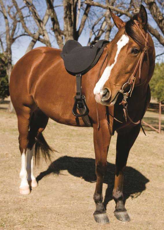 Treeless Saddle Bareback Pad Beautiful AntiSlip Western Brown Horse Blanket Tack 