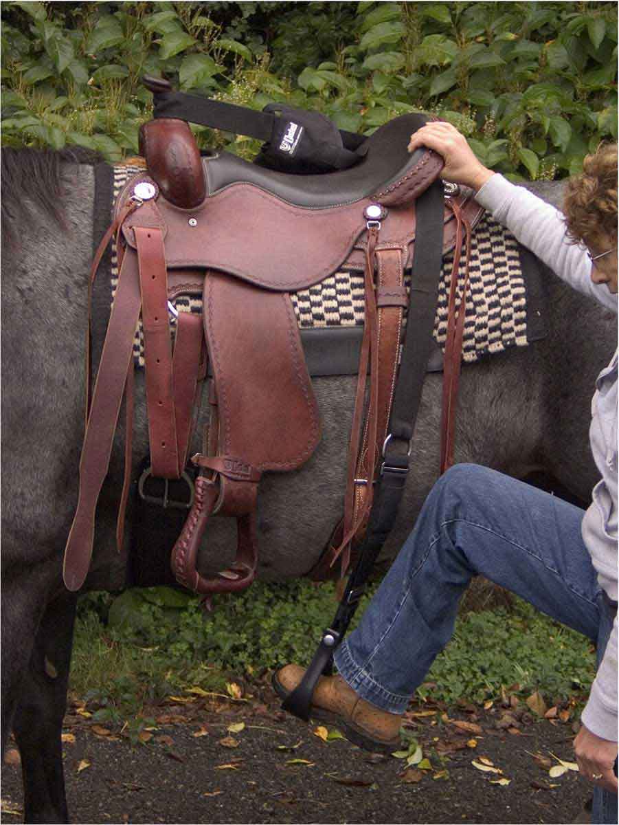 StepUp Stirrup Cashel Stirrups Saddle Accessories Supplies Tack