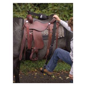 Step-Up Stirrup Item # 28877