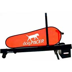 MiniPacer Treadmill Item # 29076