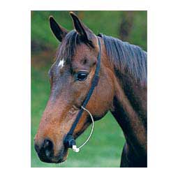 Grooma Easy Wormer for Horses Item # 29654