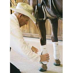Destiny Support Horse Boots Item # 30200