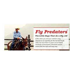 Fly Predators Fly Larvae Control Item # 31478