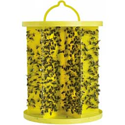 EZ Trap Fly Trap Item # 31491