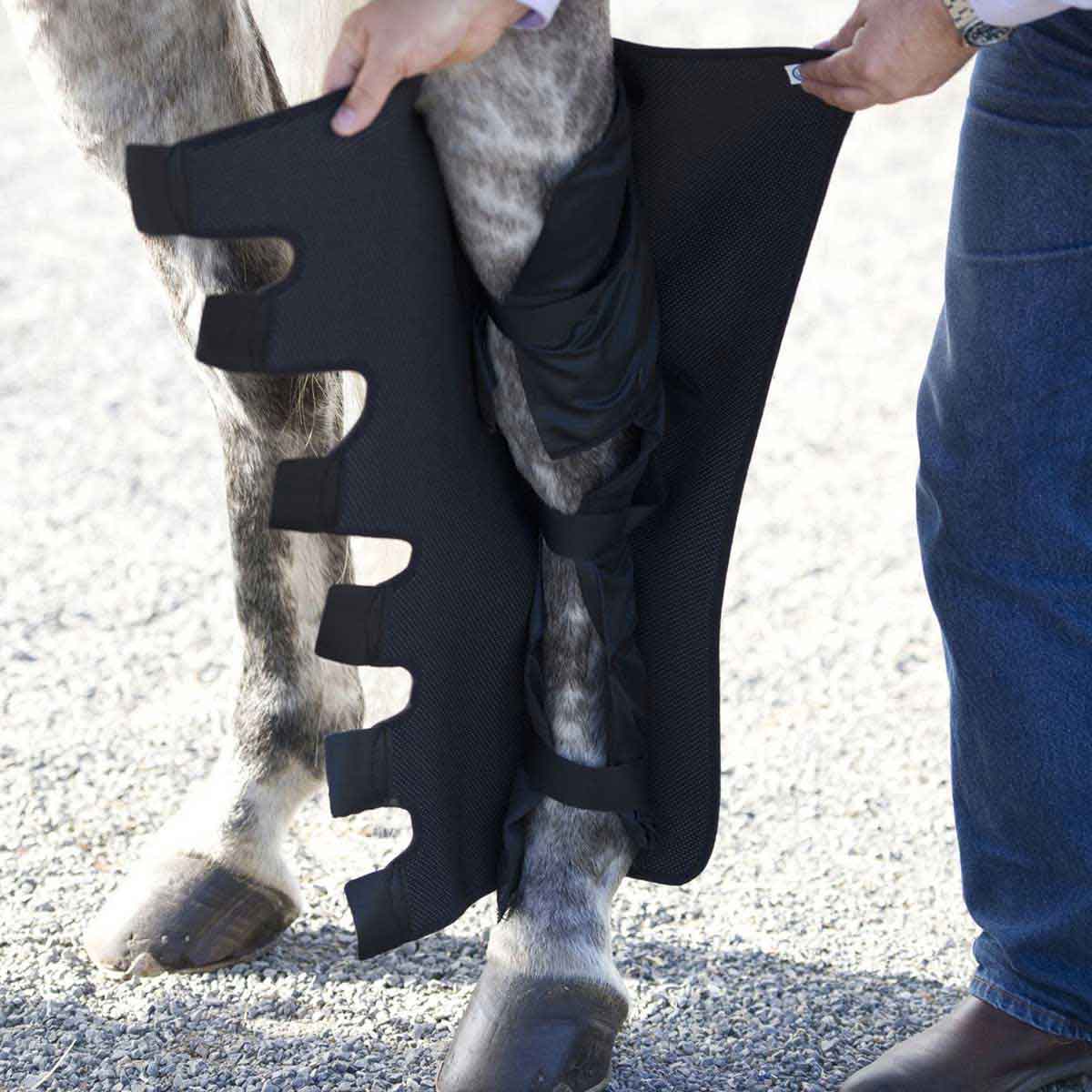 Ice Horse Knee to Ankle Wraps Mackinnon - Therapy | Health | Equine
