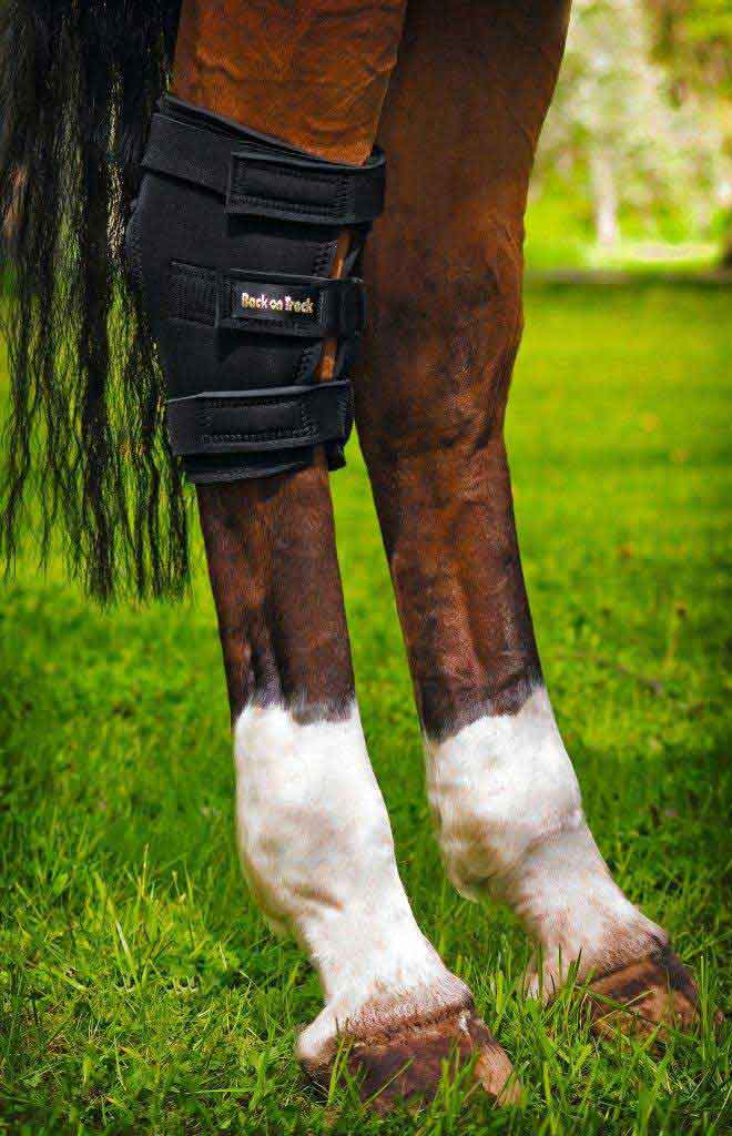 Back boots for horses sales