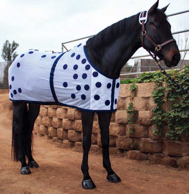 Magnetic therapy horse blanket professionals choice  therapy  health Magnetic therapy horse blanket professionals choice  therapy  health