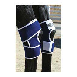 Magnetic Therapy Horse Hock Boots Item # 32752