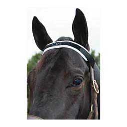 Magnetic Therapy Horse Brow Piece Item # 32753