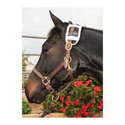 Magnetic Therapy Horse Poll Piece Item # 32754