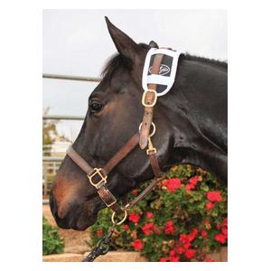 Magnetic Therapy Horse Poll Piece Item # 32754