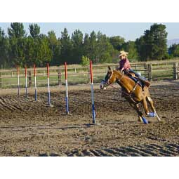 Breakdown Pole Bending Poles Item # 33235