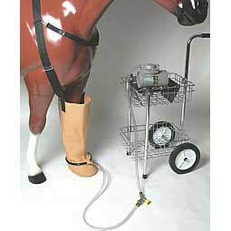 Therapeutic Whirlpool Horse Boots Item # 33380