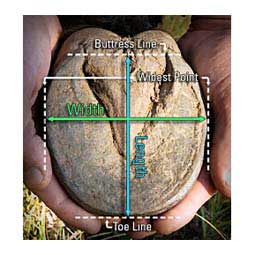 Easyboot Epic Horse Hoof Boot Item # 34415