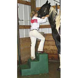 MS-22 Three Step Mounting Block Item # 34783
