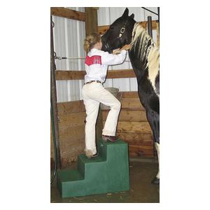 MS-22 Three Step Mounting Block Item # 34783