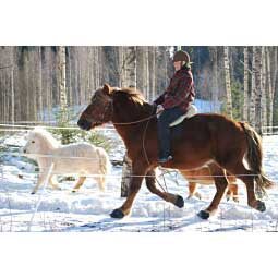 Simple Regular Horse Hoof Boots Item # 35435
