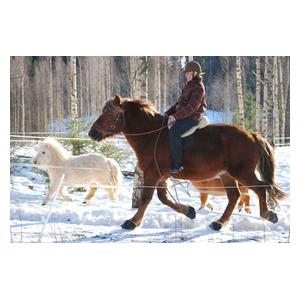 Simple Regular Horse Hoof Boots Item # 35435