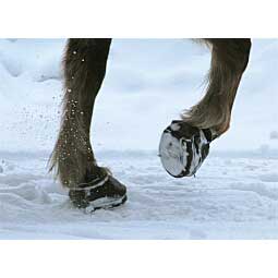 Simple Regular Horse Hoof Boots Item # 35435