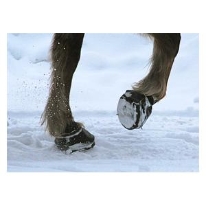 Simple Regular Horse Hoof Boots Item # 35435