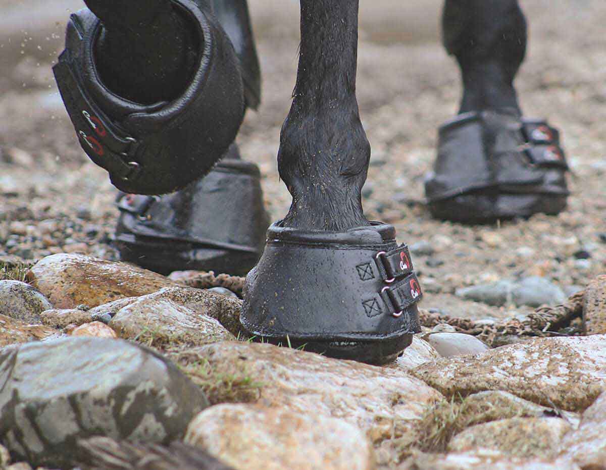 Cavallo Simple Regular Horse Hoof Boots | Valley Vet Cavallo Horse And ...