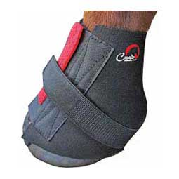 Pastern Wraps for Horses  Cavallo Horse And Rider