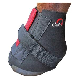 Valley Vet - Pastern Wraps for Horses Cavallo Horse And Rider - Hoof ...